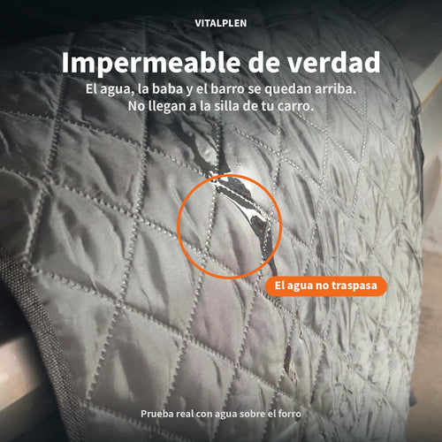 Forro Premium para Carro – Protector Impermeable para Perro con Modo Cuna